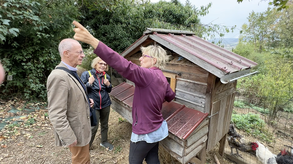 z72Permaculture chickens ArchiDocu